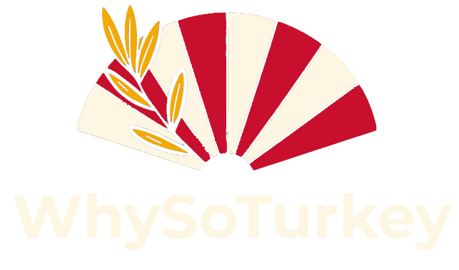 whysoturkey.site