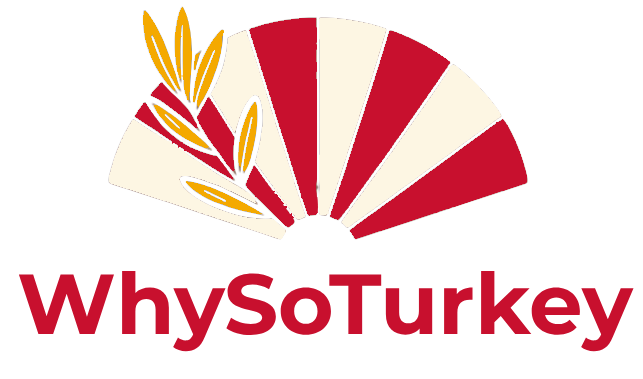 whysoturkey.site